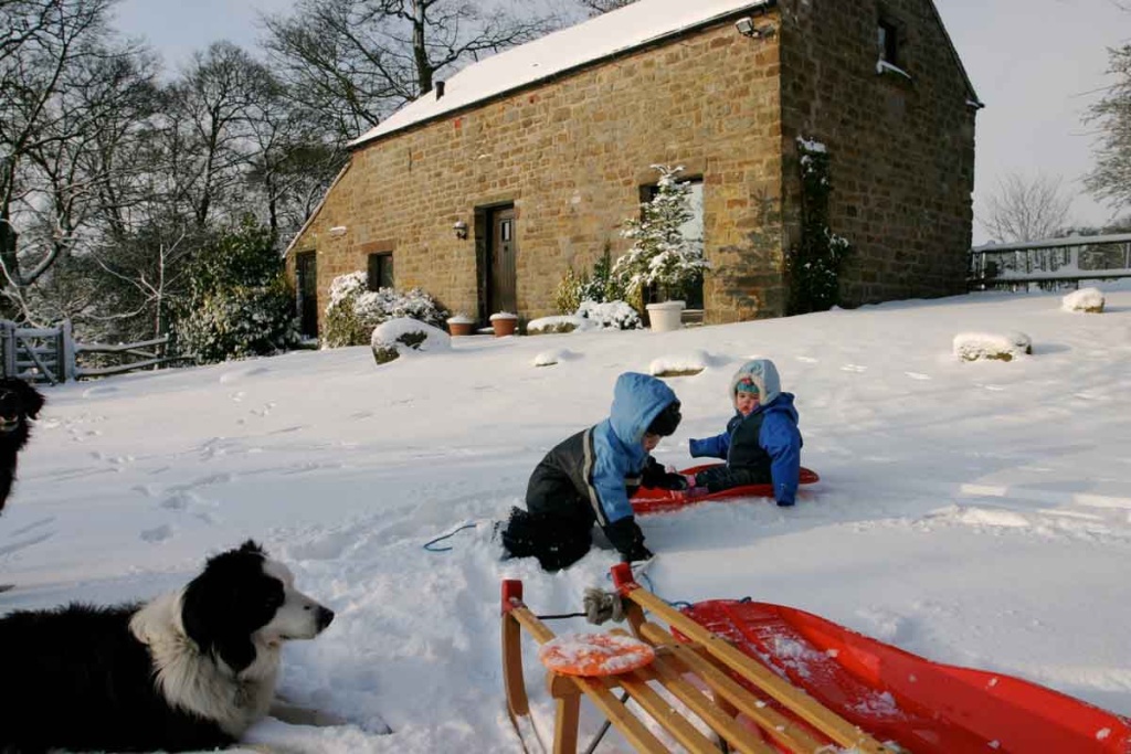 farm dog and small children play snow in winter at ford wetley cottage